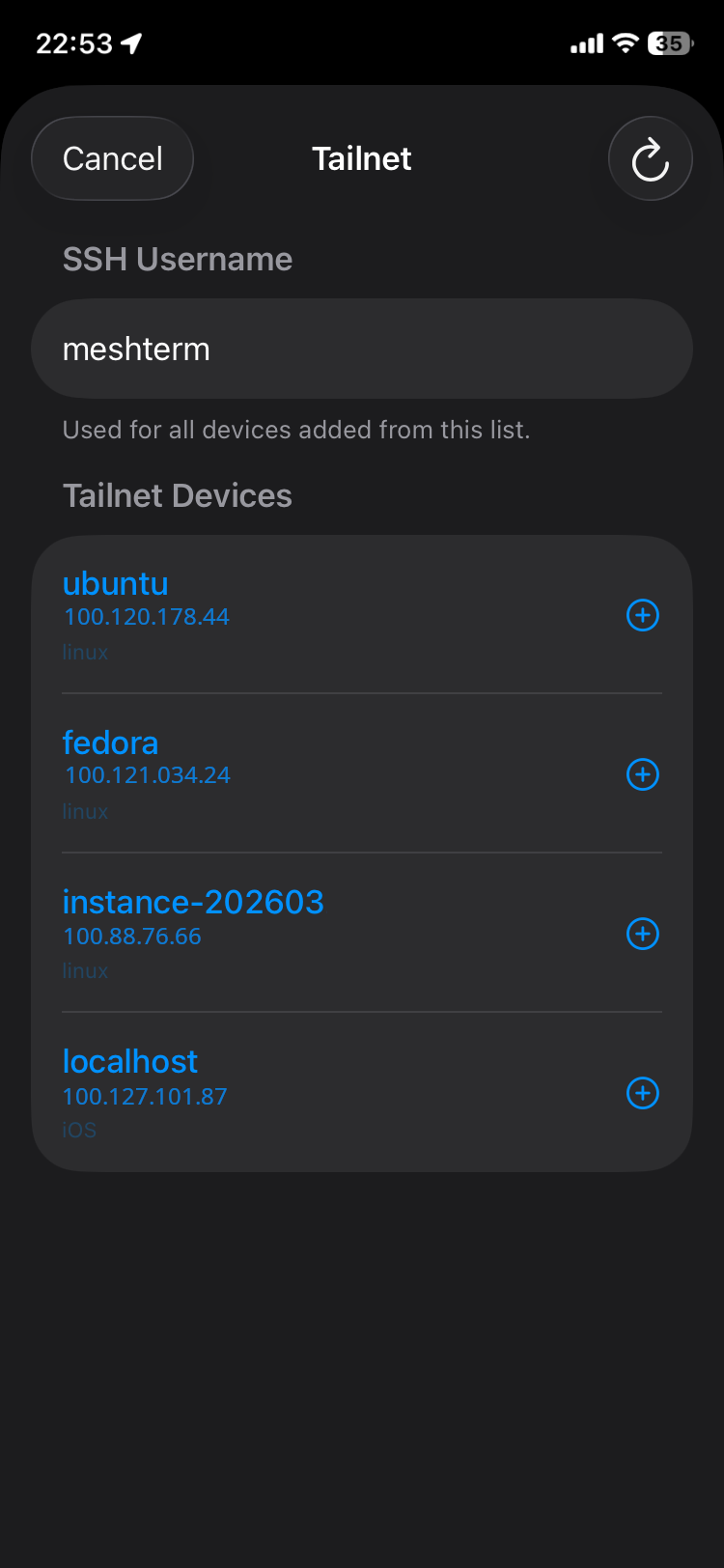 Tailnet Device Browser